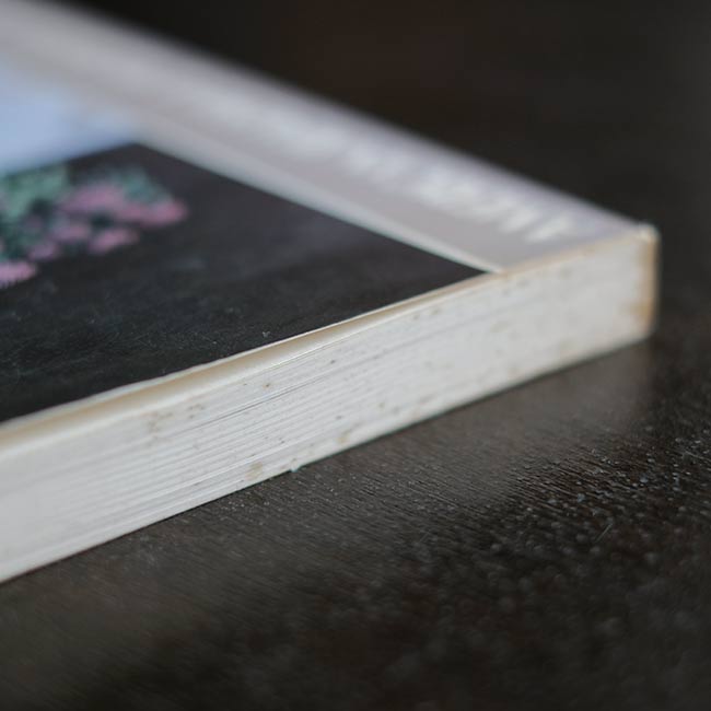 AMERICAN REALISM & FIGURATIVE ART : 1952-1990