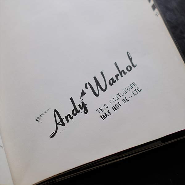 ANDY WARHOL'S INDEX (BOOK)