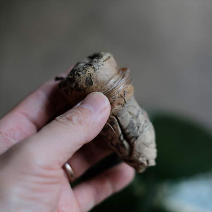 Apple green demijohn bottle