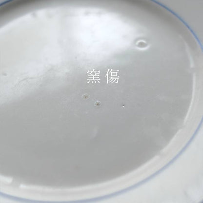 Blue line medium plate φ21cm