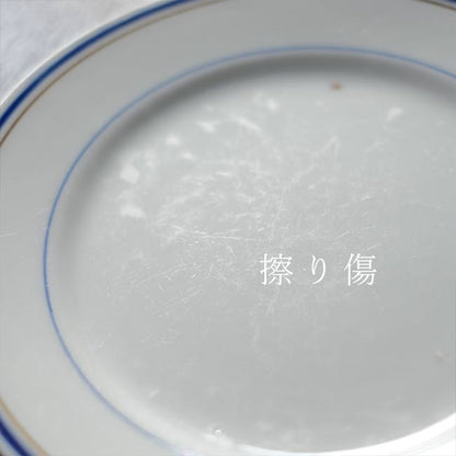 Blue line medium plate φ21cm