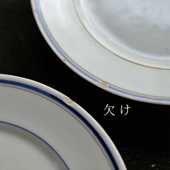 Blue line medium plate φ21cm