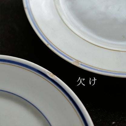 Blue line medium plate φ21cm