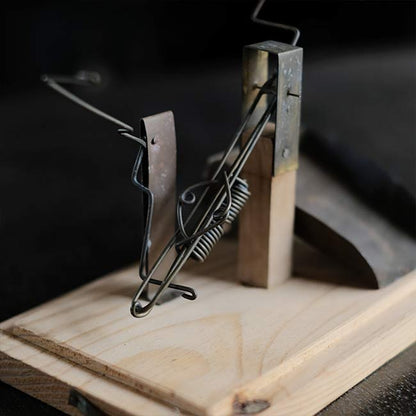 蚕の雌雄鑑別器