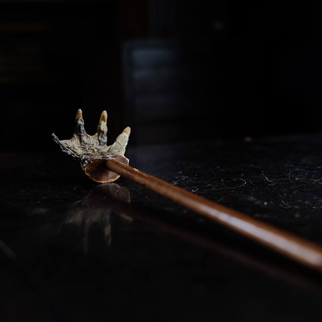 Crocodile Backscratcher