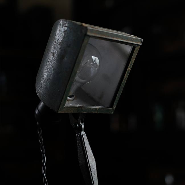 Developing stand light