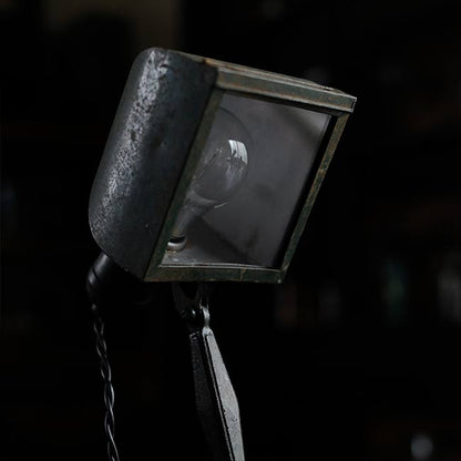Developing stand light