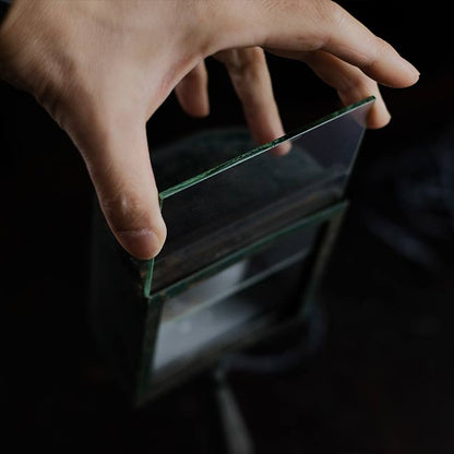 Developing stand light