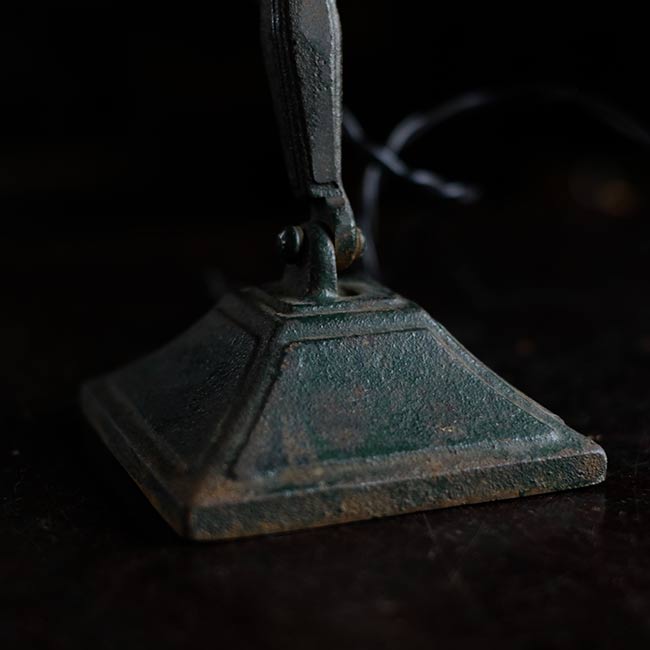 Developing stand light