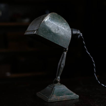 Developing stand light