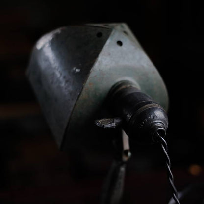 Developing stand light