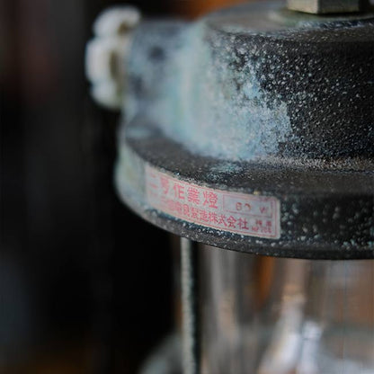 Hanging marine work light