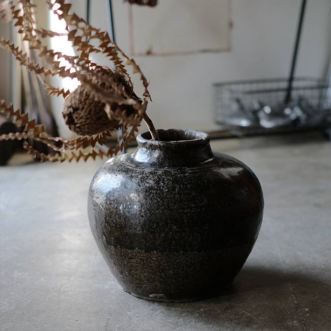 越前 茶壺