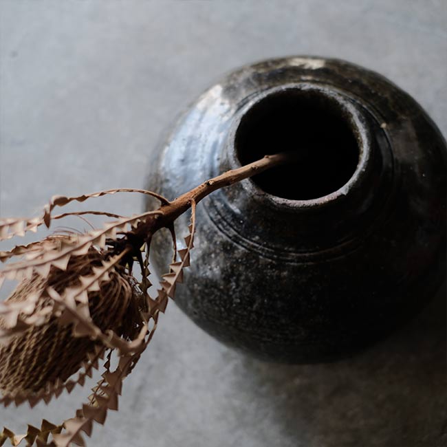 越前 茶壺