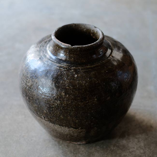 越前 茶壺
