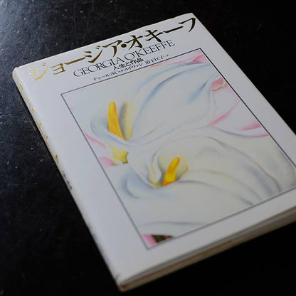 GEORGIA O'KEEFFE: Life and Work