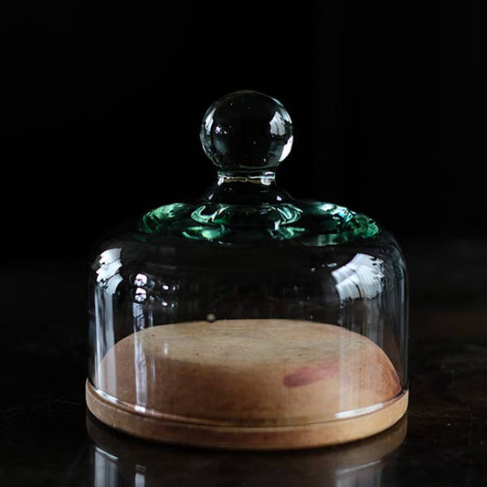 Glass dome