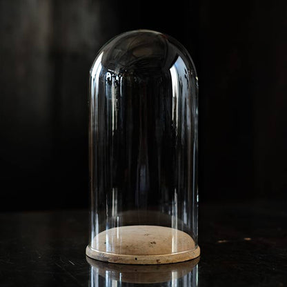 Glass dome