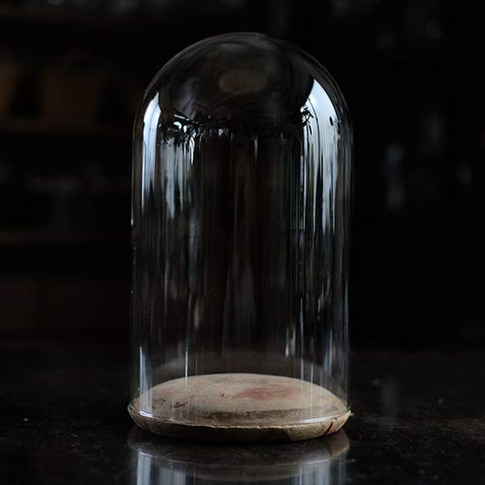 Glass dome