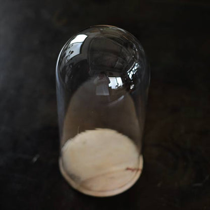 Glass dome