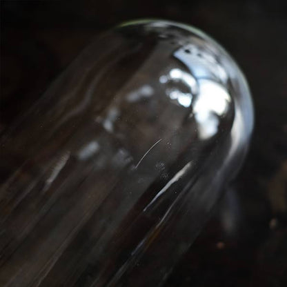 Glass dome