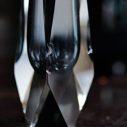 Glass flower vase