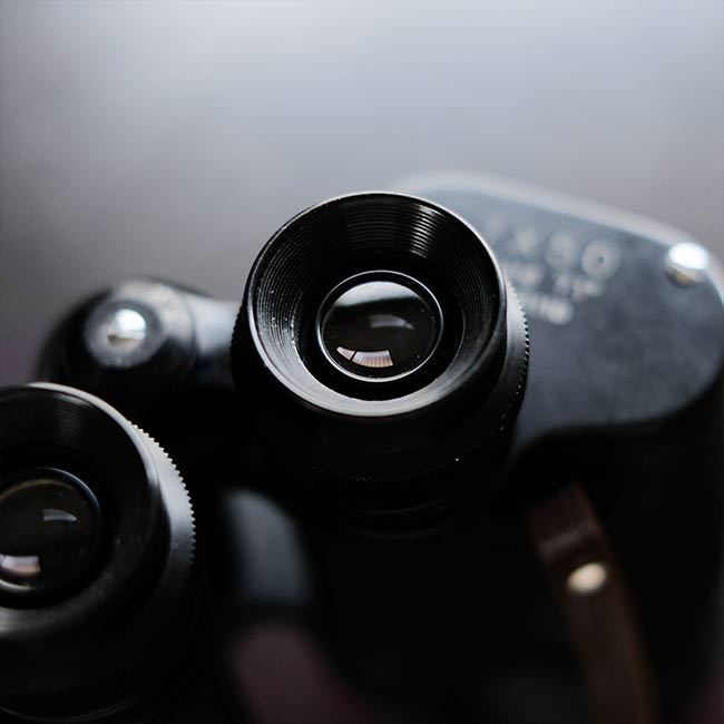 HIALEAH Binoculars 7x50