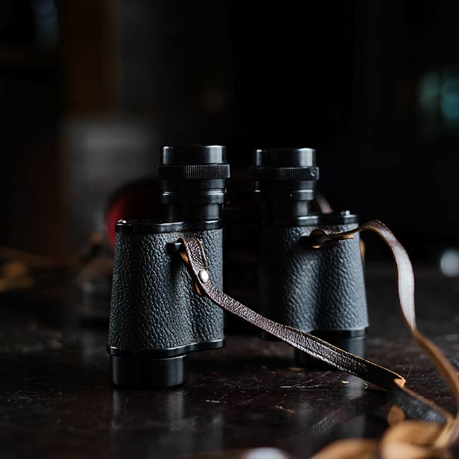 HIALEAH Binoculars 8x30