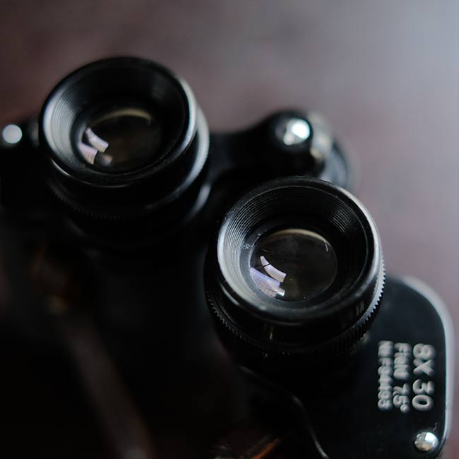 HIALEAH Binoculars 8x30