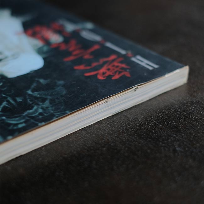 HIDE ビジュアル写真集「無言激」