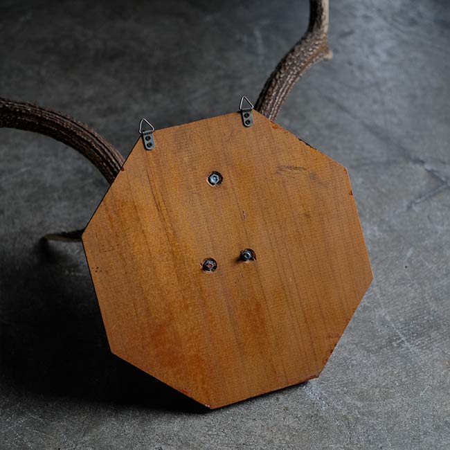 鹿の頭骨 壁掛け – zakka store towi