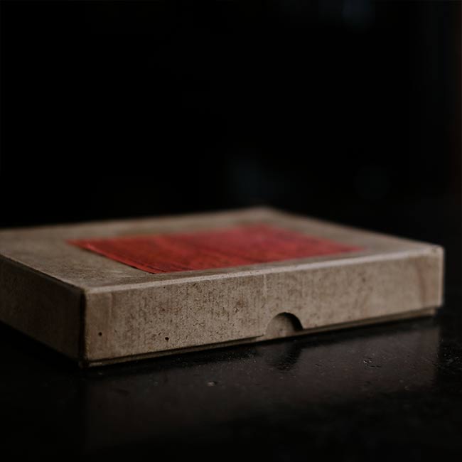 ILFORD SPECIAL RAPID PLATES Glass dry plates