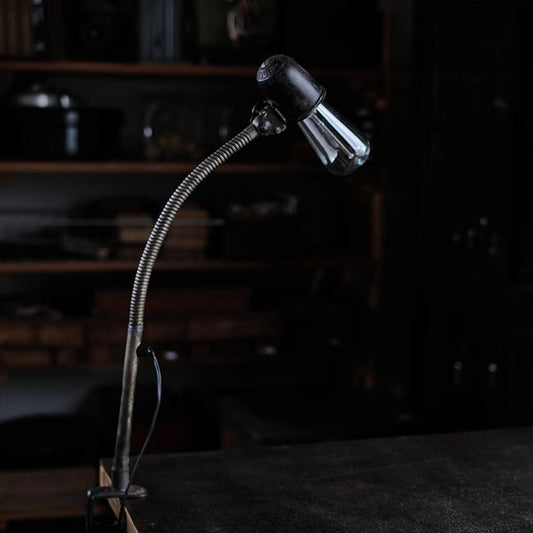 KAISER IDELL カスタムグースネックランプ