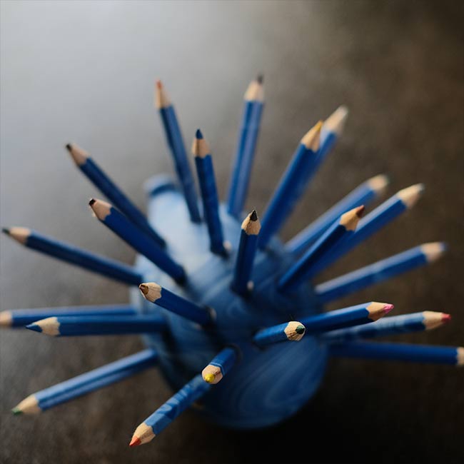 Koh-i-Noor ハリネズミ色鉛筆セット