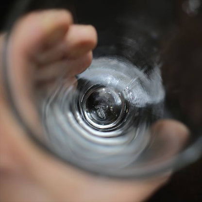 フランスのメジャーカップ 250m