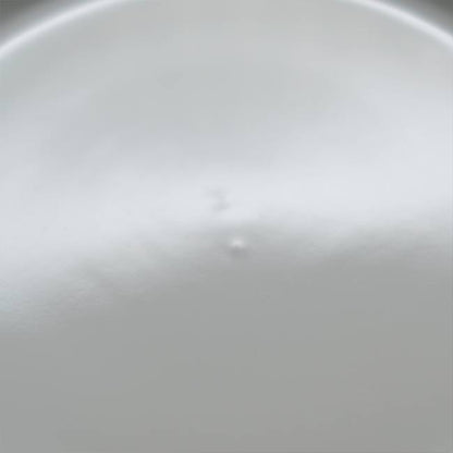 ノリタケ ストーンウェア 大皿 φ27cm