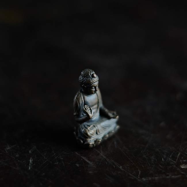 釈迦如来 豆佛