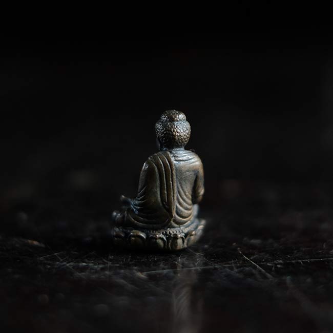 釈迦如来 豆佛