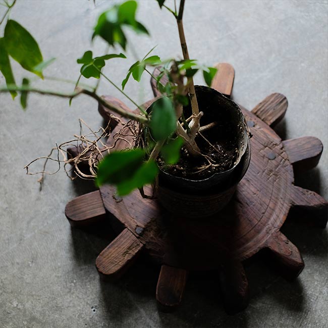 大きな歯車 – zakka store towi