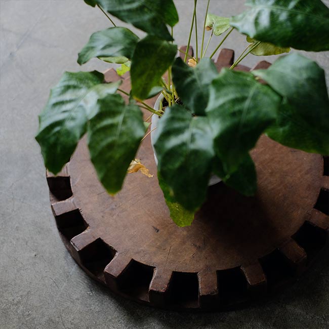 大きな歯車 – zakka store towi