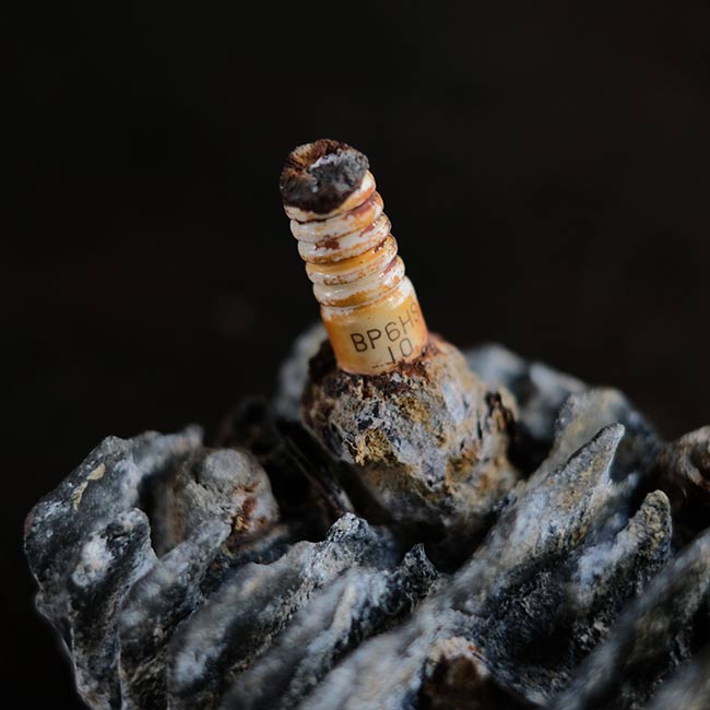 シリンダーヘッドの一部