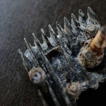 シリンダーヘッドの一部