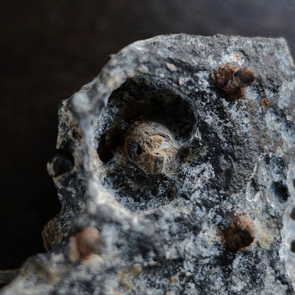 シリンダーヘッドの一部