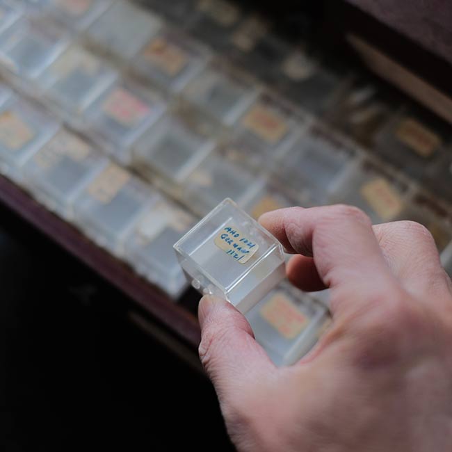 SWARTCHILD & Co. パーツ収納キャビネット