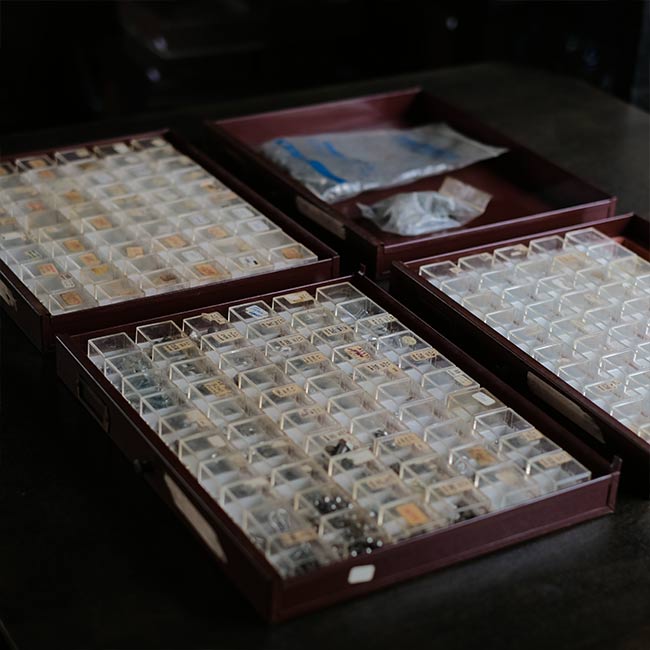 SWARTCHILD & Co. パーツ収納キャビネット