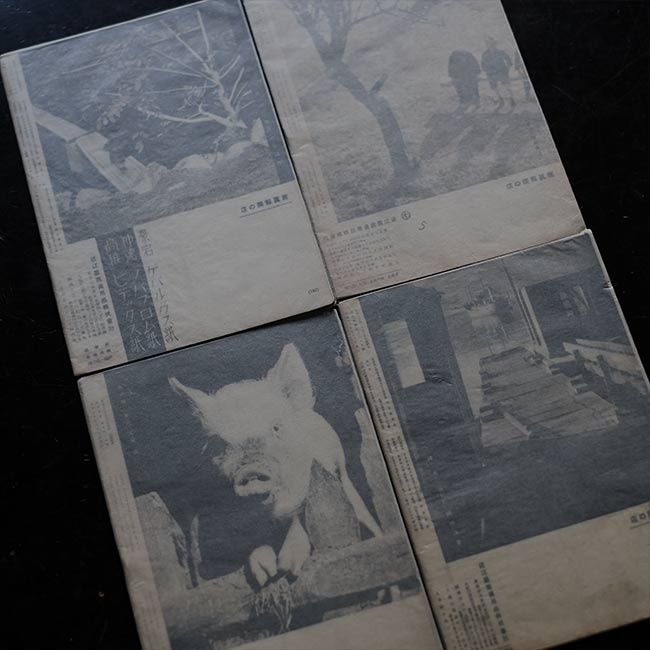 Photo Report 1936-1942 16 volumes