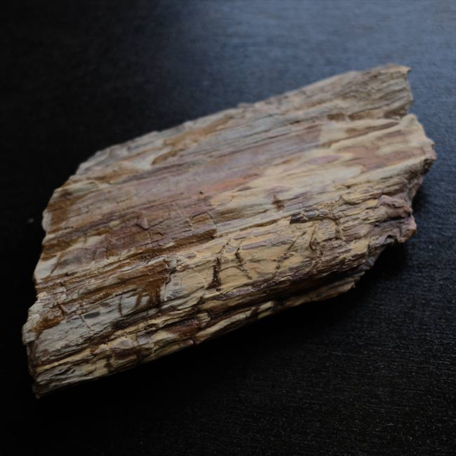 珪化木 – zakka store towi