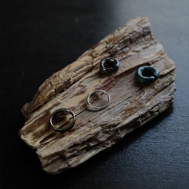 珪化木 – zakka store towi