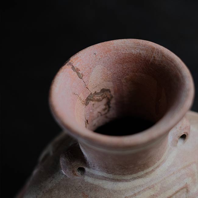 南米土器 カメレオン壺