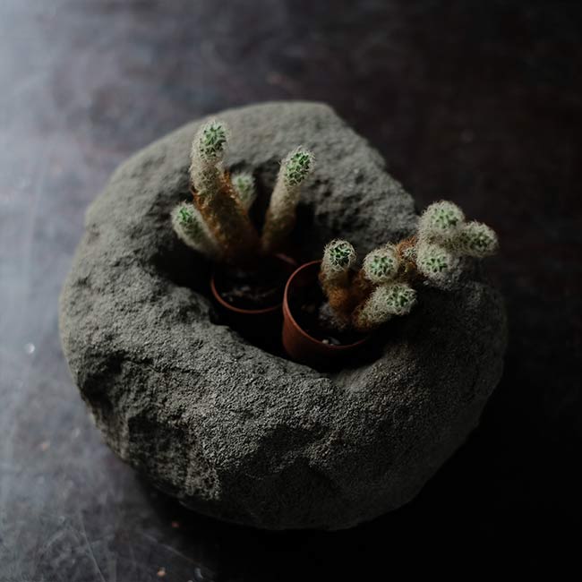 Small Tsukubai